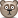 Bear    Bear Bear