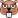 Beaver    Beaver Beaver